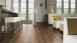 Wineo Vinile adesivo - 800 wood XL Cyprus Dark Oak (DB00066)