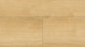 Wineo Vinile adesivo - 800 wood Wheat Golden Oak (DB00080)