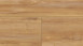 Wineo Vinile adesivo - 800 wood Honey Warm Maple (DB00081)