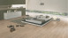 Wineo Vinile ad incastro - 400 wood Compassion Oak Tender (DLC00109)
