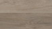 Wineo Vinile adesivo - 400 wood Grace Oak Smooth (DB00106)
