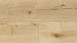 Wineo Vinile adesivo - 400 wood XL Luck Oak Sandy (DB00127)