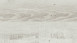 Wineo Vinile multistrato - 400 wood Moonlight Pine Pale (MLD00104)