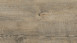 Wineo Vinile ad incastro - 400 wood Embrace Oak Grey (DLC00110)