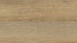 Wineo Vinile ad incastro - 400 wood XL Joy Oak Tender (DLC00126)