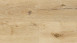 Wineo Vinile ad incastro - 400 wood XL Luck Oak Sandy (DLC00127)