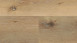 Wineo Vinile ad incastro - 800 wood XL Corn Rustic Oak (DLC00064)