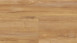 Wineo Vinile ad incastro - 800 wood Honey Warm Maple (DLC00081)