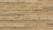 Wineo Vinile adesivo - 800 wood XL Corn Rustic Oak (DB00064)