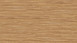 Wineo Vinile adesivo - 800 wood Honey Warm Maple (DB00081)