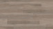 Wineo Vinile adesivo - 400 wood Spirit Oak Silver (DB00115)