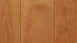 Parador Parquet - Trendtime 4 Ciliegio americano Natur (1257371)