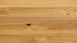Parador Parquet - Basic 11-5 Quercia nodosa (1518245)