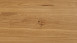Parador Engineered Wood Flooring Basic 11-5 Rovere rustico rustico naturale oliato Micro 4V smusso 4V