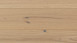 Parador Engineered Wood Flooring Basic 11-5 Rovere spazzolato oliato naturale bianco Micro 4V smusso 4V