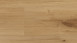 Pavimentazione in laminato Parador - Basic 200 Oak Horizon Natur