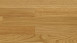 Pavimentazione in legno Parador Engineered Wood Flooring - Basic 11-5 Rovere naturale a 3 piani