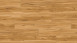 Parador Vinile adesivo - Basic 2.0 Memory Oak nature (1730796)