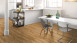 Parador Vinile ad incastro - Basic 5.3 Memory Oak nature (1743003)