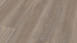 Wineo Vinile adesivo - 400 wood Spirit Oak Silver (DB00115)