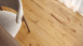 planeo Parquet - COUNTRY Quercia europea Markant (PU-000190)