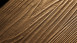 Project Floors Vinile adesivo - floors@work55 PW 2003/55 (PW200355)