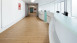 Project Floors Vinile adesivo - floors@work55 PW 3110/55 (PW311055)