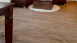 Project Floors Vinile adesivo - floors@work55 PW 3115/55 (PW311555)