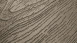 Project Floors Vinile ad incastro - Click Collection PW4030/CL55 (PW4030CL55)