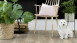 Gerflor Pavimenti CV - PRIMETEX COGNAC BLOND - 2007