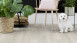 Gerflor pavimento pvc flottante click  - TopSilence Design Carvalho