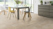 Gerflor Pavimenti CV - TEXLINE SHERWOOD CLEAR - 2012