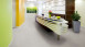 Project Floors Vinile ad incastro - Click Collection ST230/CL30 (ST230CL30)