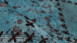 tappeto planeo - Voila 100 turchese