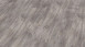 Wineo Vinile ad incastro - 800 wood Riga Vibrant Pine (DLC00082)