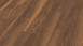 Wineo Vinile adesivo - 800 wood Sardinia Wild Walnut (DB00083)